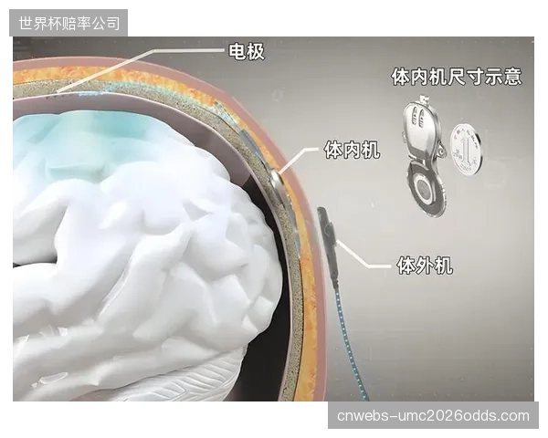日本的经验显示，通过预制模块和标准化接口，顶级体育场馆的“平灾”功能转换时间已被成功压缩至24小时以内